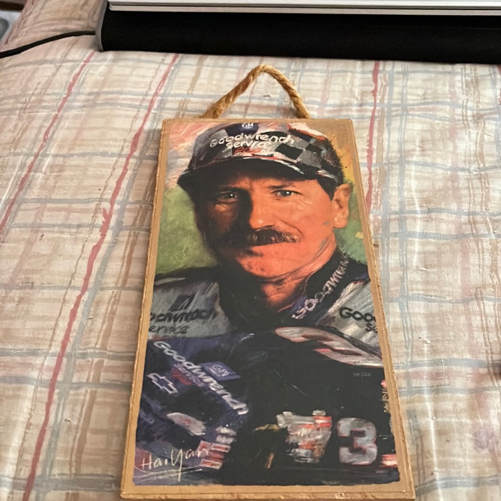 Dale Earnhardt hanging picture.